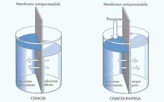 Osmosi e osmosi inversa